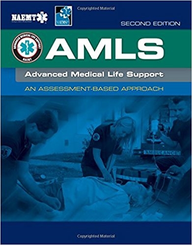 AMLS 2. edition (Engelsk)